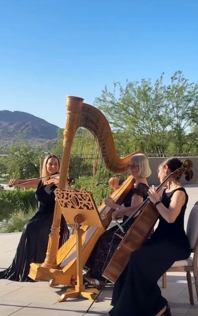 Harp and strings trio