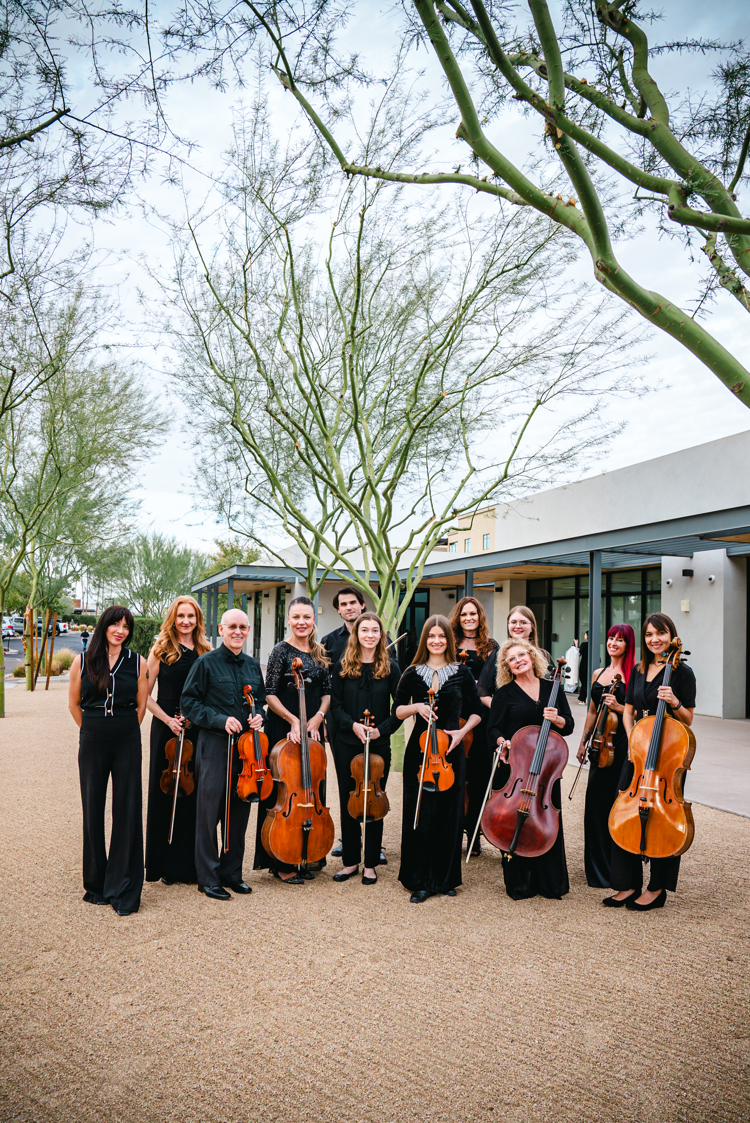 Berly strings ensemble